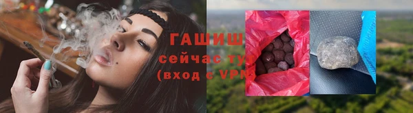 гидра Абаза