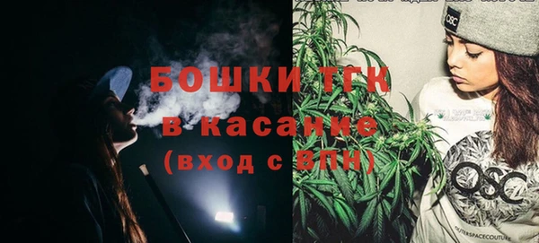 гидра Абаза