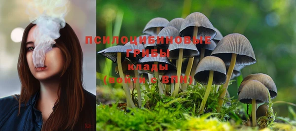 прущая мука Абдулино