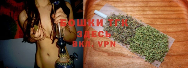 гидра Абаза